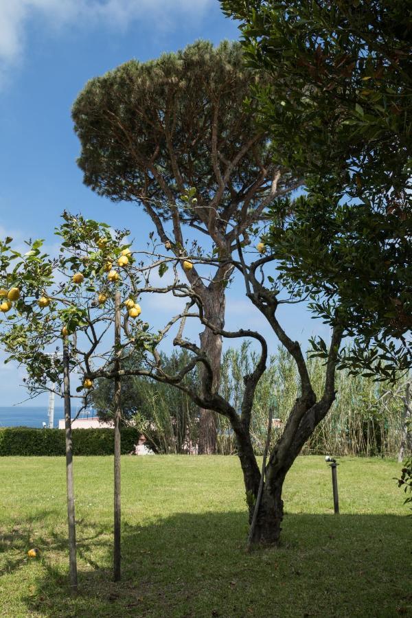 Tre Pini Villa Procida Exterior foto